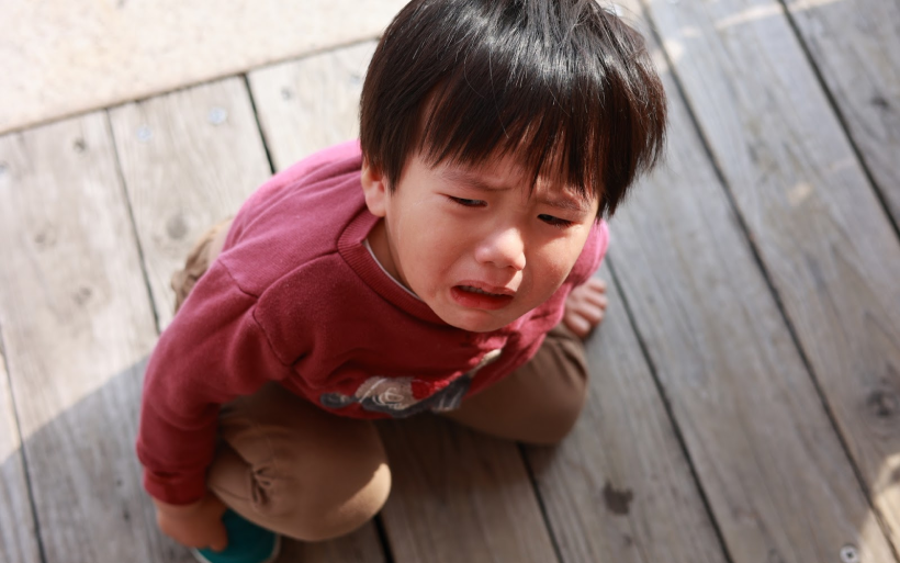 2歳児の癇癪の原因は？対応や指導事例、相談先を解説します